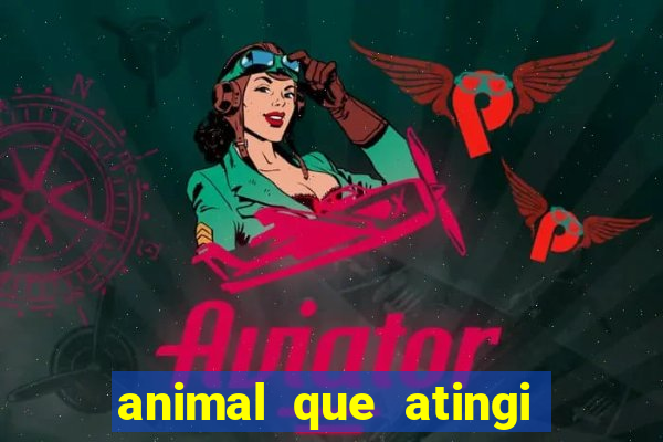 animal que atingi 230 decibeis